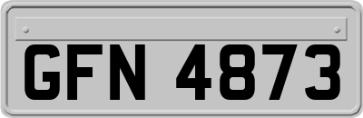 GFN4873