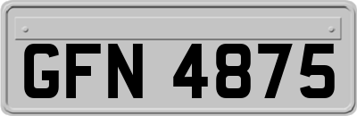 GFN4875