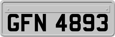 GFN4893