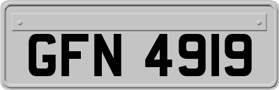 GFN4919