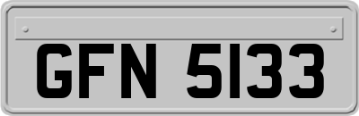 GFN5133