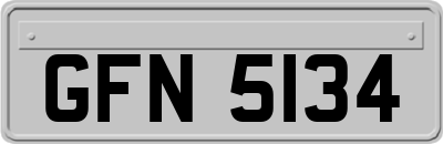 GFN5134