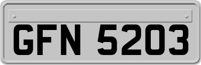 GFN5203