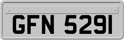 GFN5291