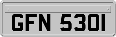 GFN5301
