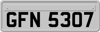 GFN5307