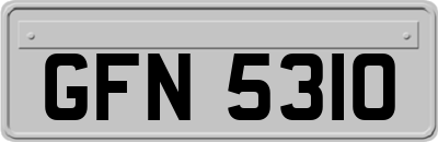 GFN5310