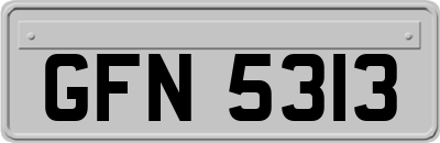GFN5313