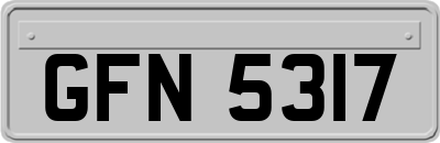 GFN5317