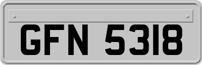 GFN5318