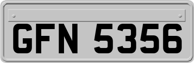 GFN5356