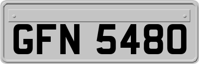 GFN5480