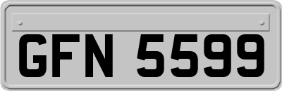 GFN5599