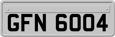 GFN6004
