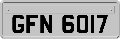 GFN6017