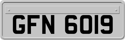 GFN6019