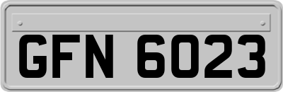 GFN6023