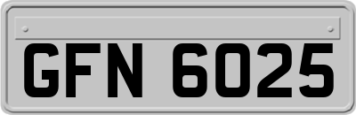 GFN6025