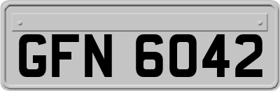 GFN6042