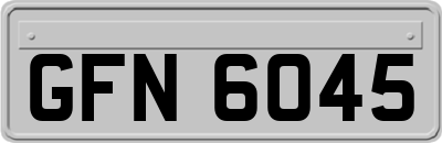 GFN6045
