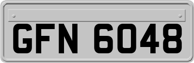 GFN6048
