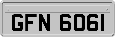 GFN6061