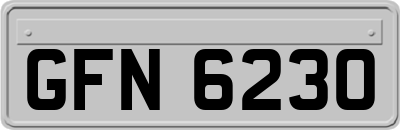 GFN6230