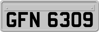 GFN6309