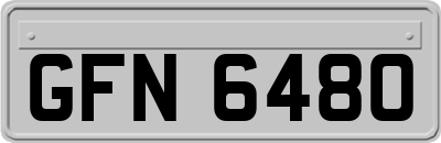 GFN6480