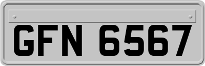 GFN6567