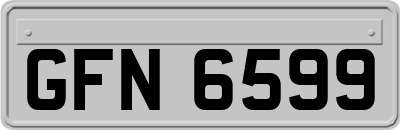 GFN6599