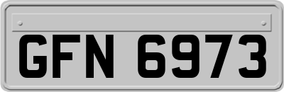 GFN6973