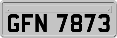 GFN7873