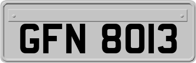 GFN8013