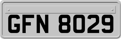 GFN8029