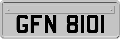 GFN8101
