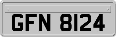 GFN8124