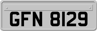 GFN8129