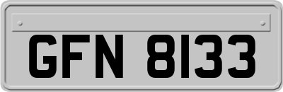 GFN8133