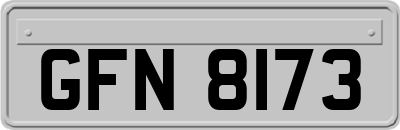 GFN8173
