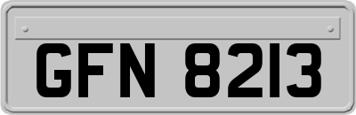 GFN8213