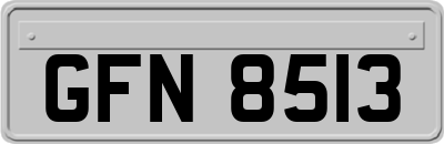 GFN8513