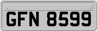 GFN8599