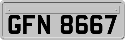 GFN8667