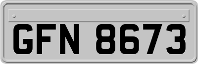 GFN8673