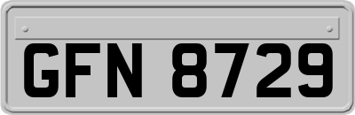 GFN8729