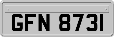 GFN8731