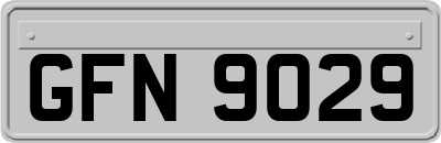 GFN9029
