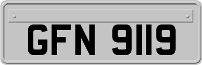 GFN9119