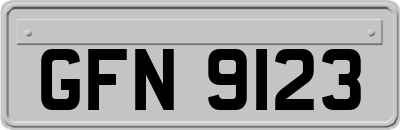 GFN9123